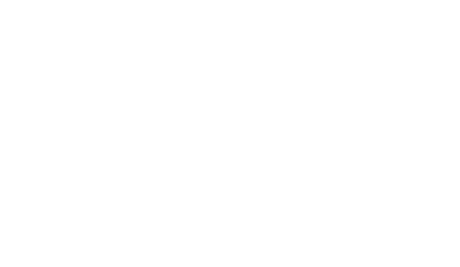 POINT