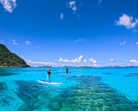 国内でも沖縄が好きで年に1回は必ず足を運んでいます。海の綺麗さはもちろん、アクティビティやグルメなど、沖縄の虜です。