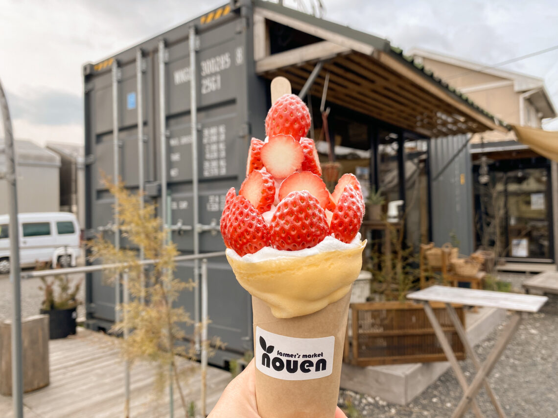 自家農園の採れたてフルーツで作る本格スイーツ【YOU農園】