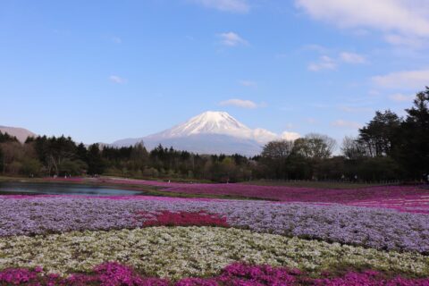 旅行の思い出を少しでも残せるように始めました。最近では、桜や紅葉など日本特有の情景を求めて色々な場所に足を運んでいます。