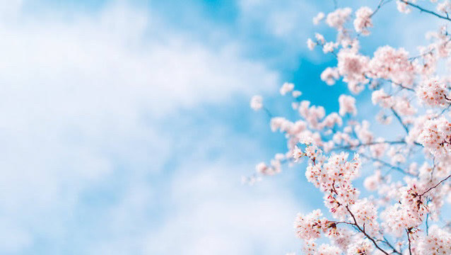 春一番