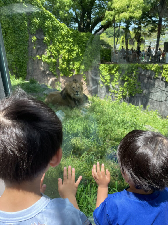 ゴールデンウィークは東山動植物園へ!