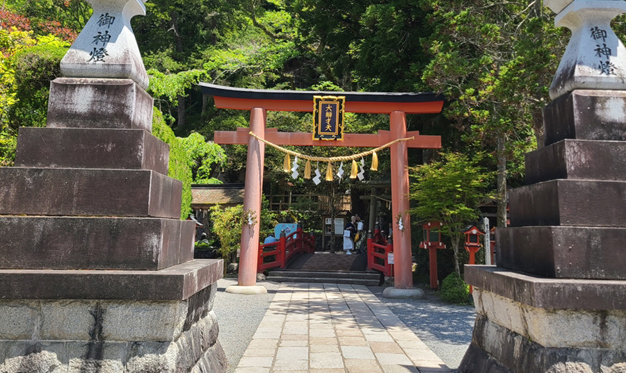 神社の歴史や雰囲気に惹かれ、御朱印を集めながら巡るのが楽しみです。