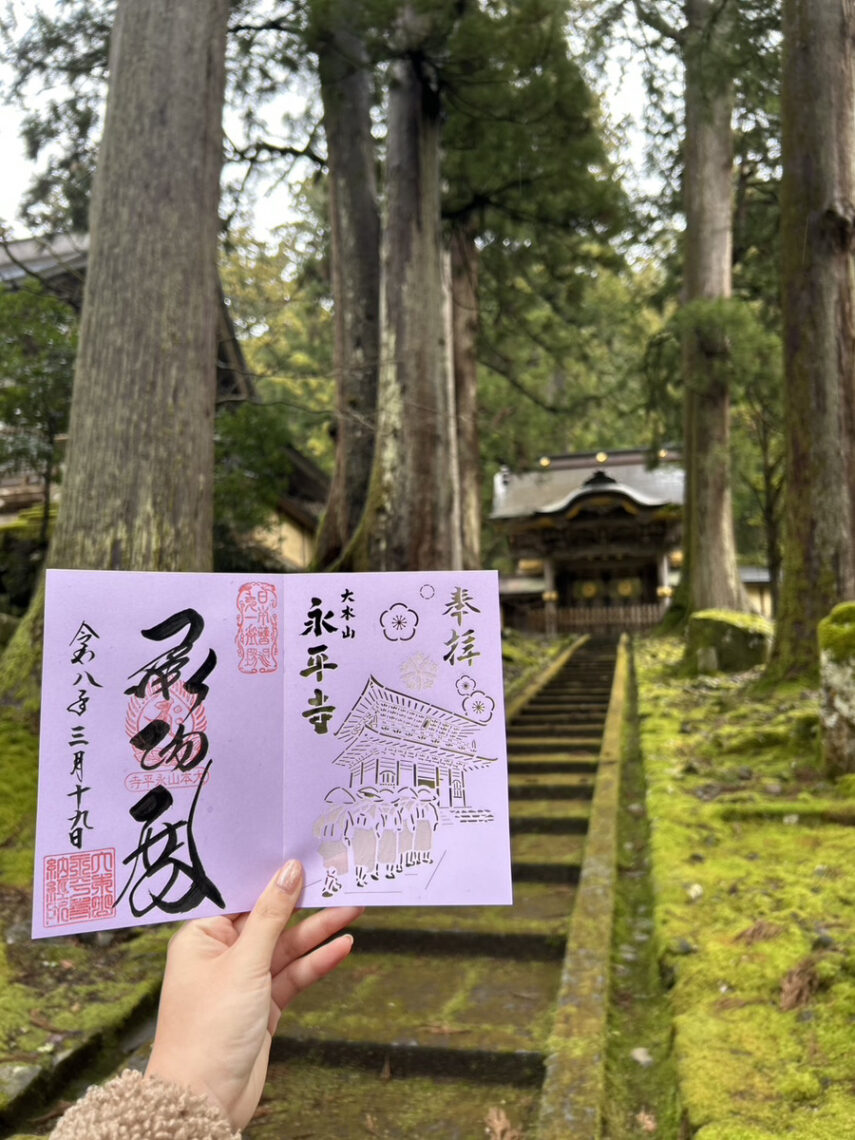 神社、仏閣が好きで時間ができると1人でゆったりと訪れます。しんとした空気感でリフレッシュしてます。