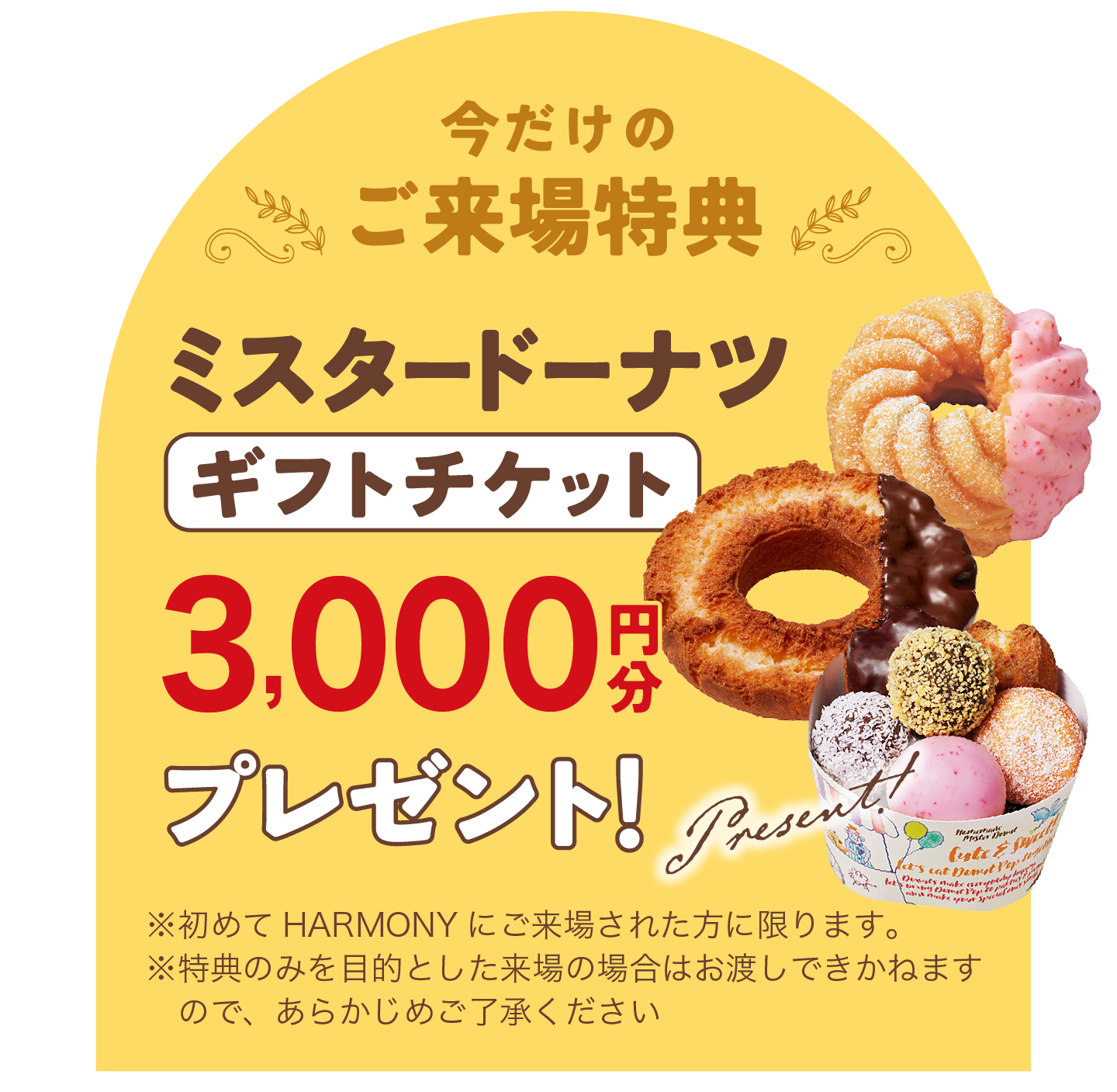 ご来場特典 ミスタードーナツ ギフトチケット3,000円分プレゼント